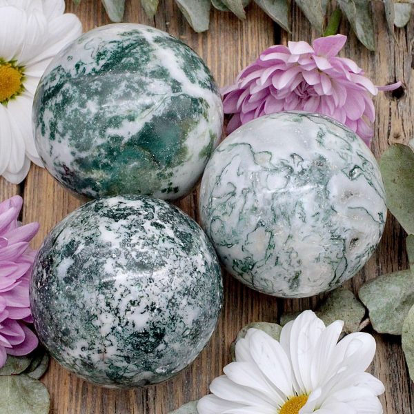 Tree Agate Sphere Supply