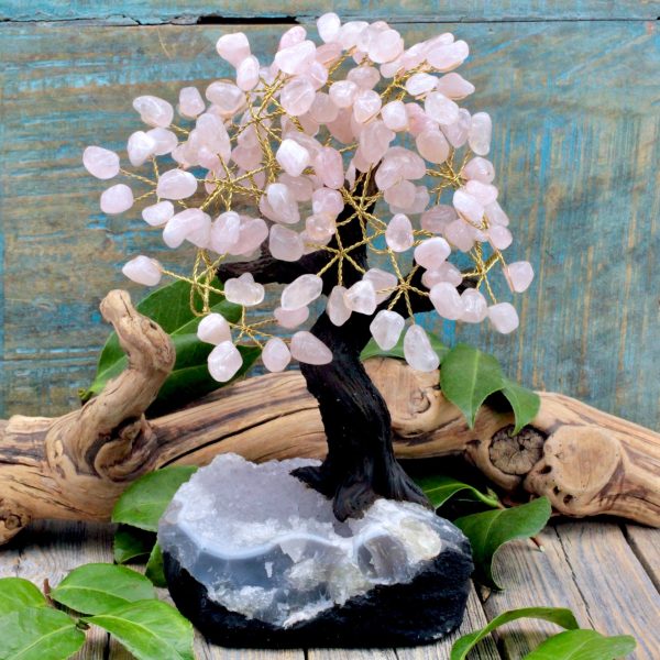 Rose Quartz Crystal Tree with Amethyst Cluster Base For Discount