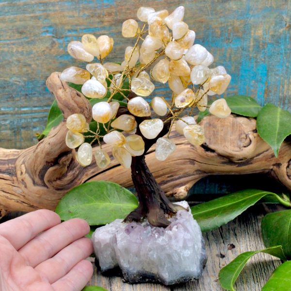 Citrine Crystal Tree with Amethyst Cluster Base For Cheap - Image 2